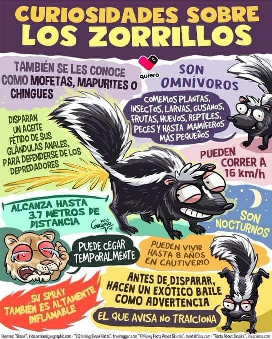Actualidad Social Actualidad Social