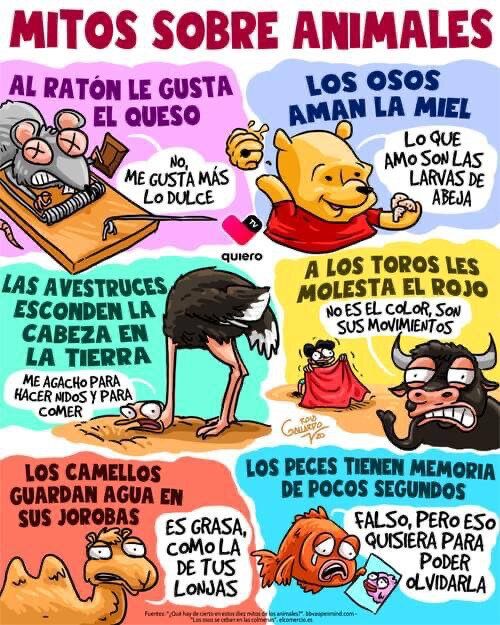 COCEMFE celebra una jornada en Toledo sobre inclusión por competencias COCEMFE celebra una jornada en Toledo sobre inclusión por competencias