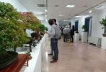 La Fundación Cibervoluntarios forma a más de 2.000 personas en Castilla... La Fundación Cibervoluntarios forma a más de 2.000 personas en Castilla...
