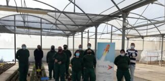 Diez personas discapacitadas de la Lanzadera para el Empleo de APDA Aspe terminan un curso de jardinería