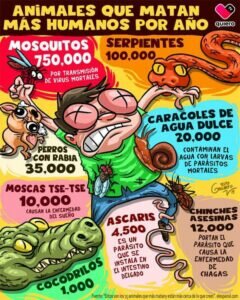“Neker” presenta su libro “Rojo Pasión” en Petrer
