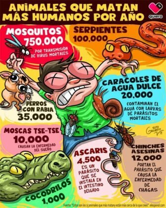 San Juan de Dios avanza en la digitalización con su nuevo...