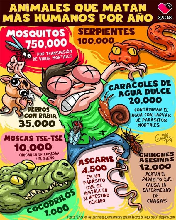 Actualidad Social Actualidad Social