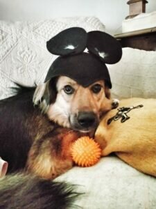 “Neker” presenta su libro “Rojo Pasión” en Petrer