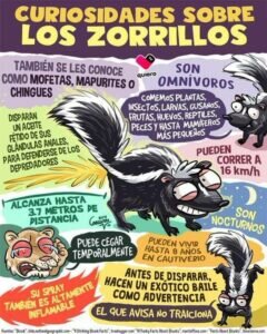 Actualidad Social