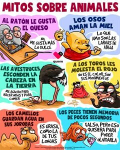 Actualidad Social Actualidad Social