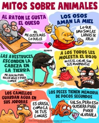 Ya en los quirófanos del Hospital San Juan de Dios de León el robot Da Vinci X Ya en los quirófanos del Hospital San Juan de Dios de León el robot Da Vinci X