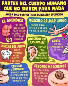 Ya en los quirófanos del Hospital San Juan de Dios de...