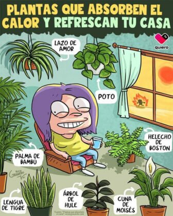 San Juan de Dios avanza en la digitalización con su nuevo...