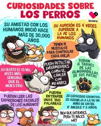 Actualidad Social Actualidad Social