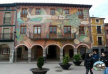 Salvia, nuevo programa para combatir la soledad no deseada y el... Salvia, nuevo programa para combatir la soledad no deseada y el...
