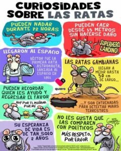 Ya en los quirófanos del Hospital San Juan de Dios de...