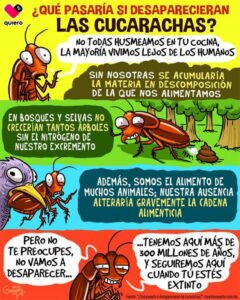 Ya en los quirófanos del Hospital San Juan de Dios de... Ya en los quirófanos del Hospital San Juan de Dios de...