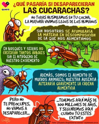 Actualidad Social Actualidad Social