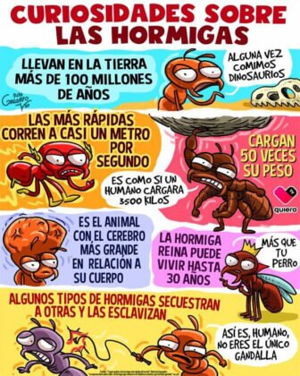 Actualidad Social