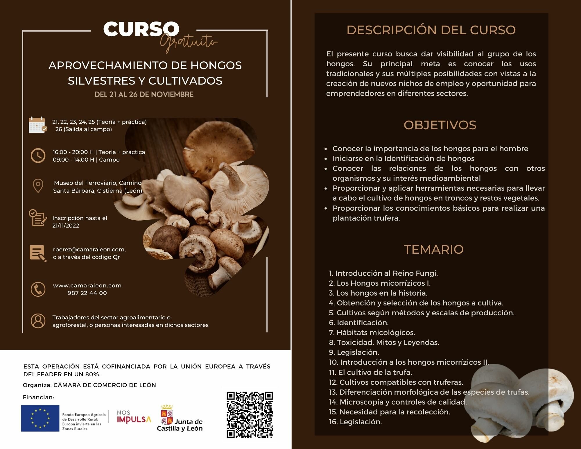 Actualidad Social Actualidad Social