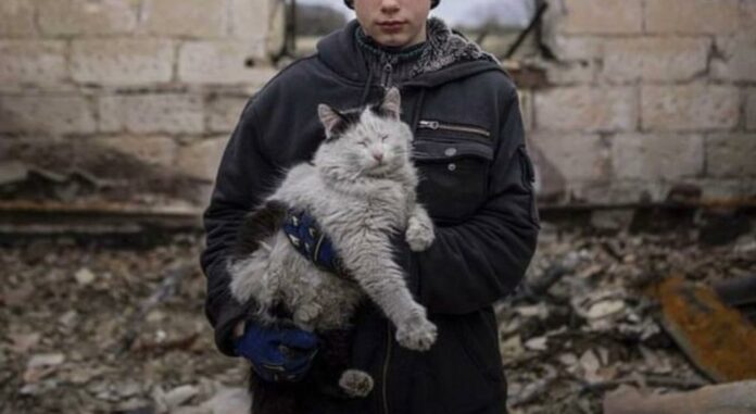 Anna Senik salva a una gata en Kyiv