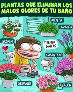 Ya en los quirófanos del Hospital San Juan de Dios de... Ya en los quirófanos del Hospital San Juan de Dios de...