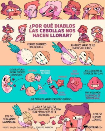 Ya en los quirófanos del Hospital San Juan de Dios de... Ya en los quirófanos del Hospital San Juan de Dios de...