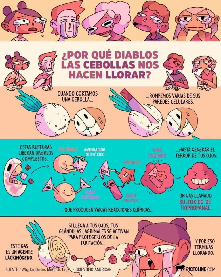 Ya en los quirófanos del Hospital San Juan de Dios de León el robot Da Vinci X Ya en los quirófanos del Hospital San Juan de Dios de León el robot Da Vinci X