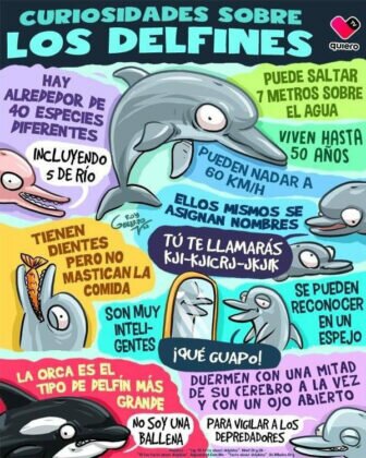 Actualidad Social Actualidad Social