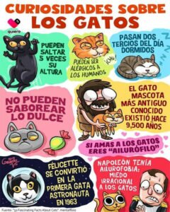 Actualidad Social Actualidad Social