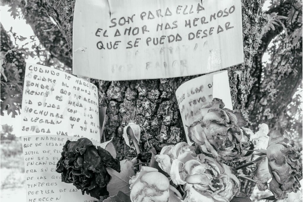 ¿Sabes controlar al mono que vive en tu mente? ¿Sabes controlar al mono que vive en tu mente?