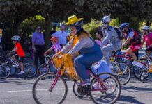 Día de la Bici