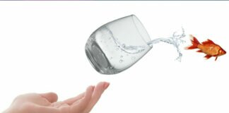 consejo