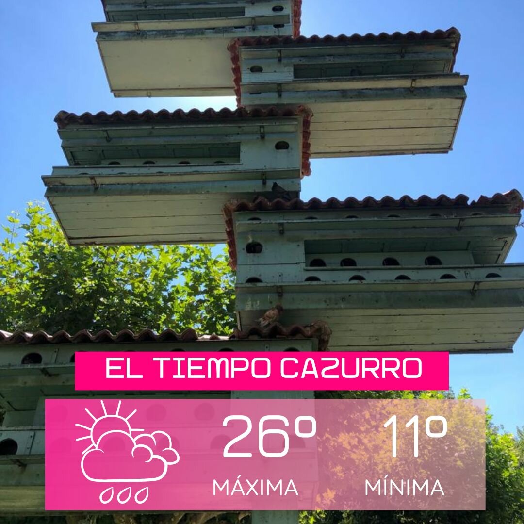 Actualidad Social
