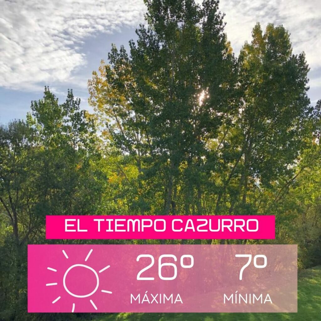 viernes 14 de octubre