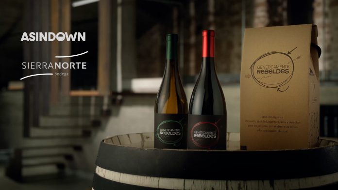 Estos son los vinos que contribuyen a la labor de Asindown por la inclusión laboral de personas con síndrome de Down