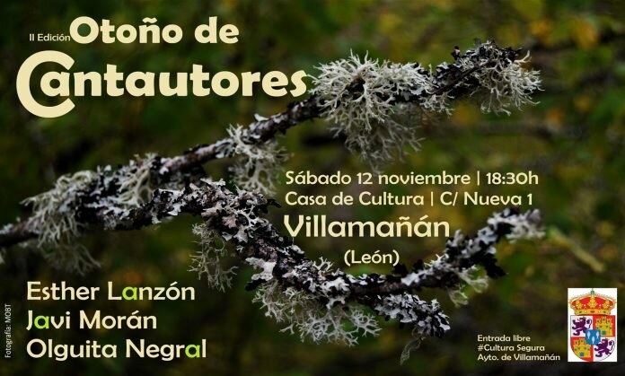 Cantautores