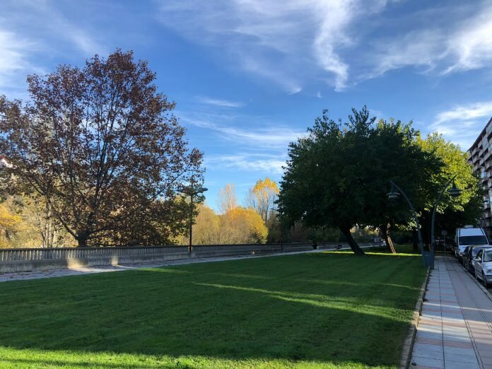 domingo 13 de noviembre