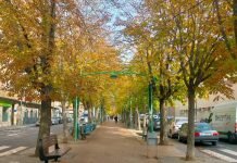 miércoles 16 de noviembre