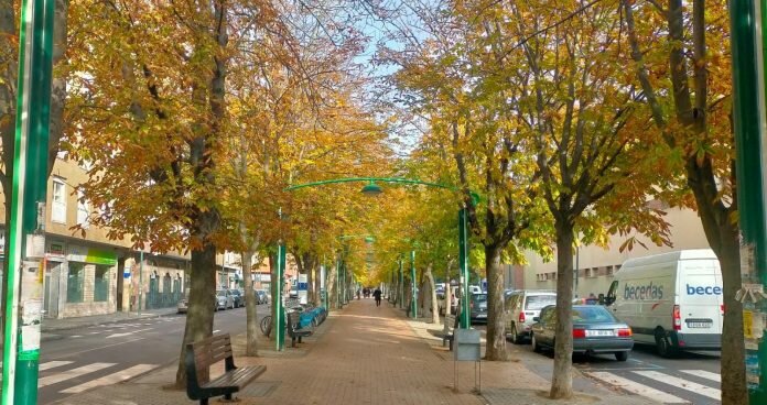 miércoles 16 de noviembre